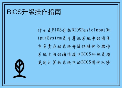 BIOS升级操作指南